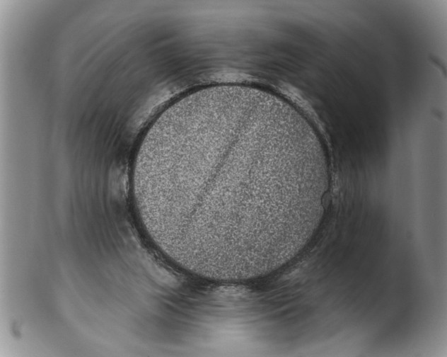 X0000102350063200808221703