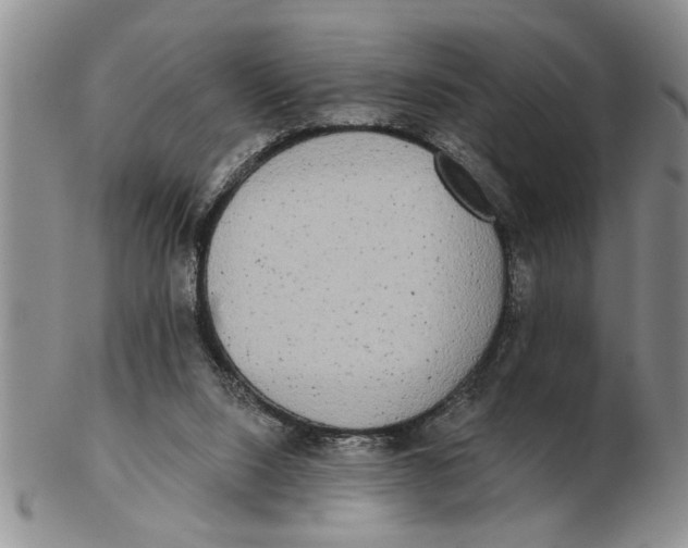 X0000102350064200808221703