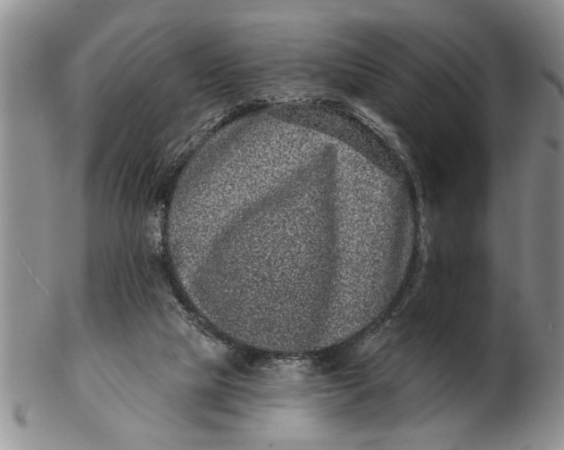 X0000102350065200808221703