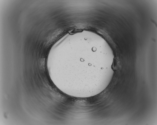 X0000102350066200808221703