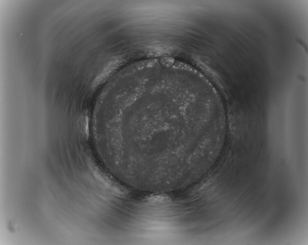 X0000102350067200808221703