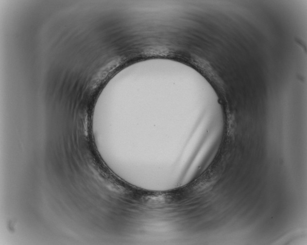 X0000102350068200808221703
