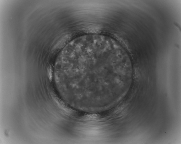 X0000102350069200808221703