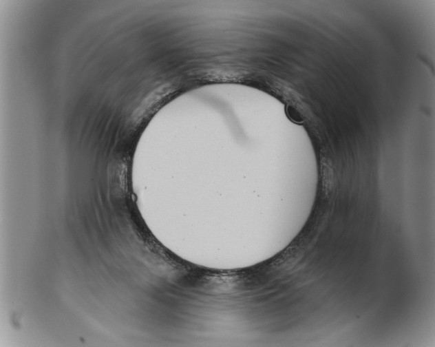 X0000102350071200808221703