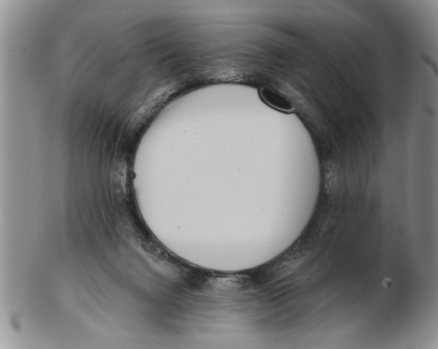 X0000102350072200808221703