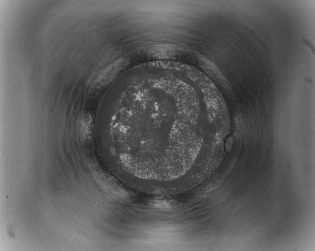 X0000102350073200808221703