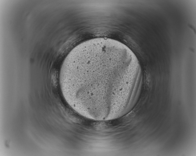 X0000102350074200808221703
