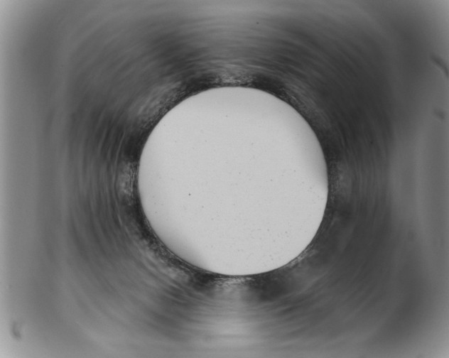 X0000102350078200808221703