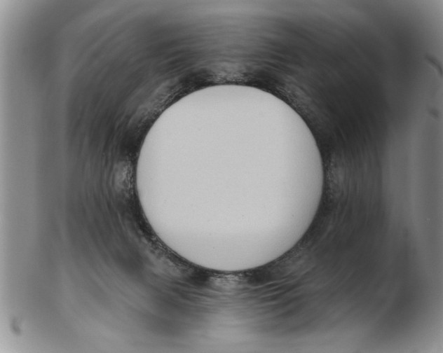 X0000102350079200808221703