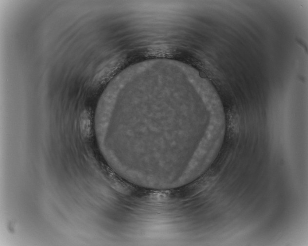 X0000102350080200808221703