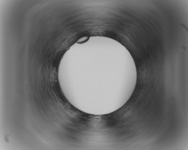 X0000102350083200808221703