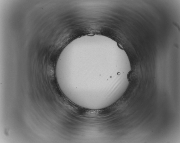 X0000102350084200808221703