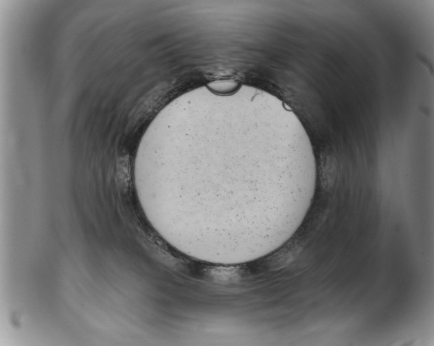 X0000102350085200808221703