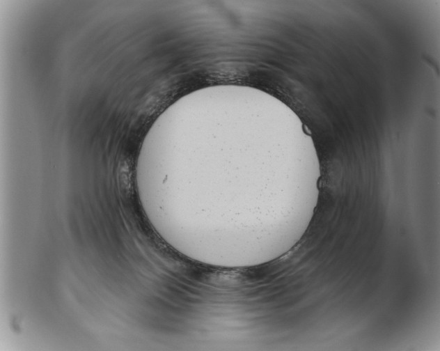 X0000102350086200808221703