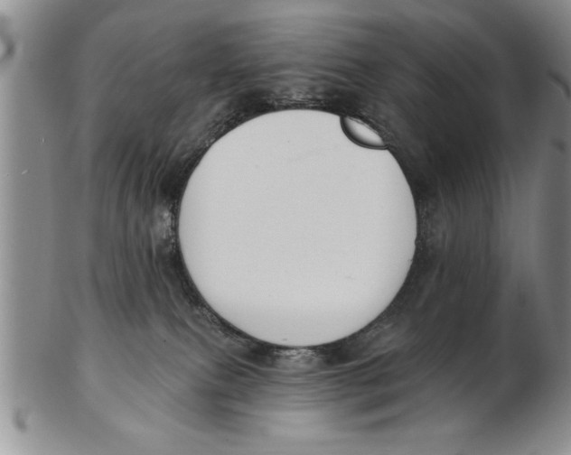 X0000102350087200808221703