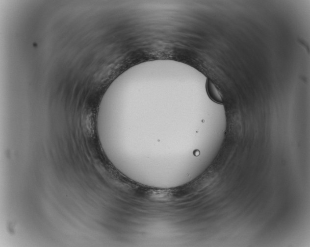 X0000102350088200808221703