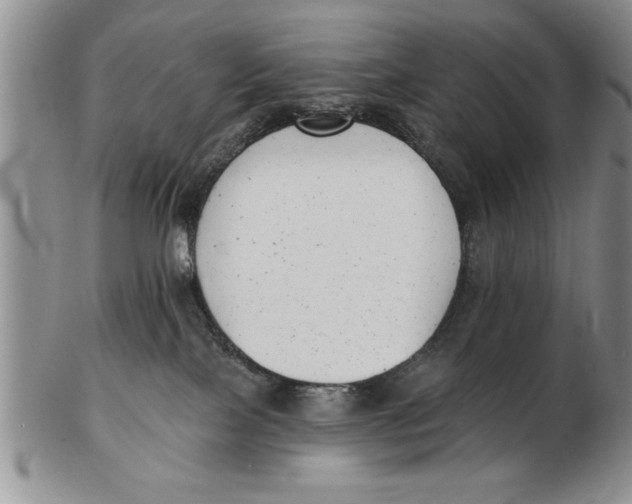 X0000102350089200808221703