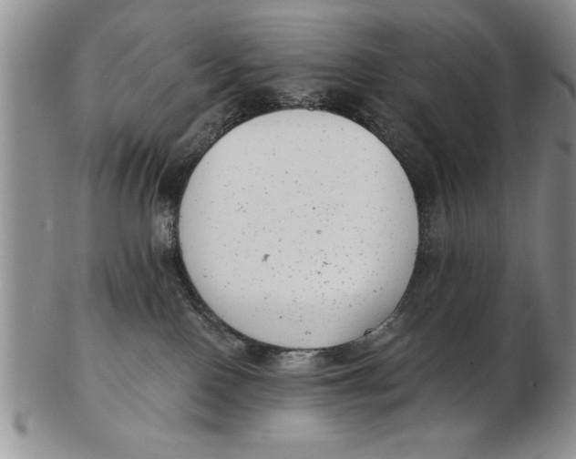 X0000102350090200808221703