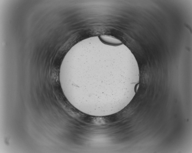 X0000102350091200808221703