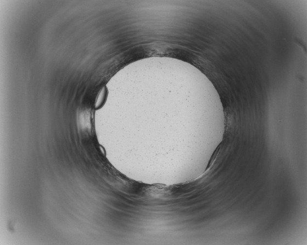 X0000102350094200808221703