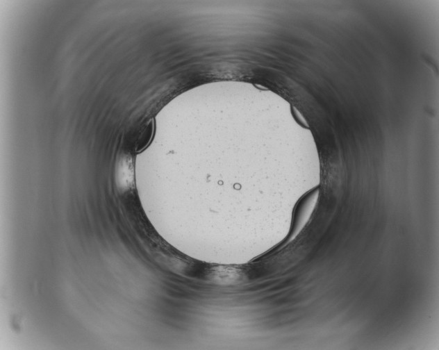 X0000102350095200808221703