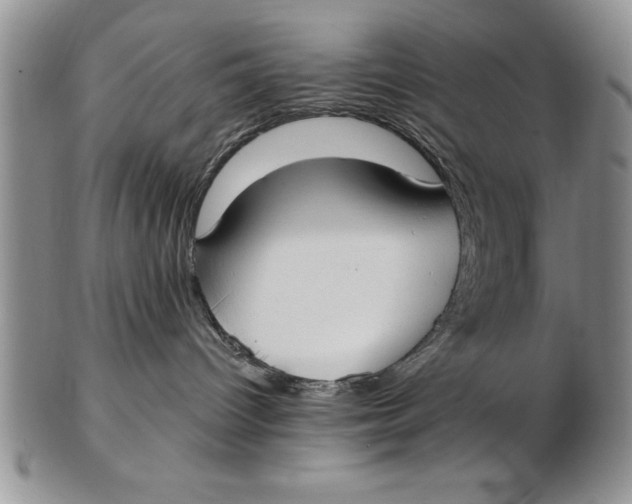 X0000102350096200808221703