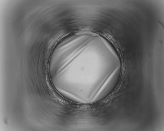 X0000102350097200808221703