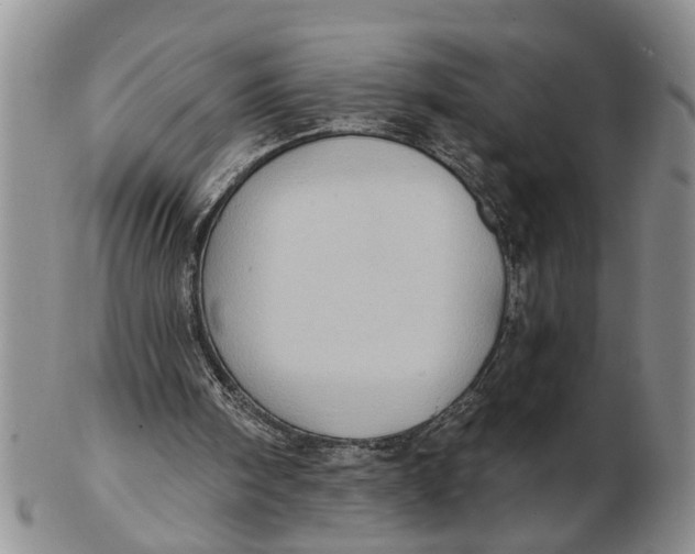 X0000102350098200808221702