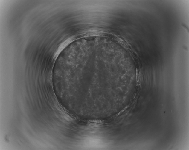 X0000102350099200808221702