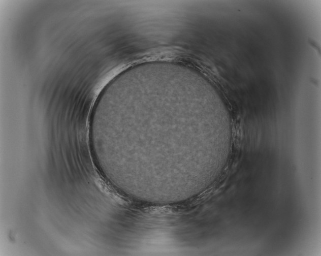 X0000102350100200808221702