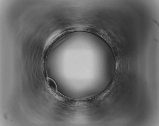 X0000102350101200808221702
