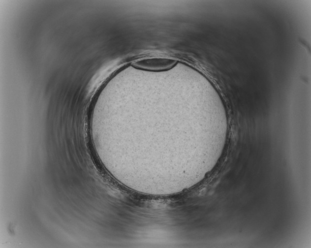 X0000102350103200808221702