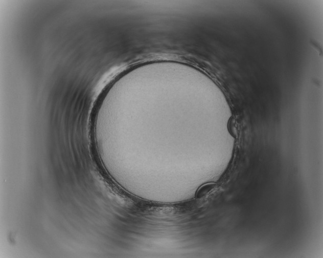X0000102350104200808221702