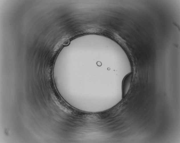 X0000102350106200808221702