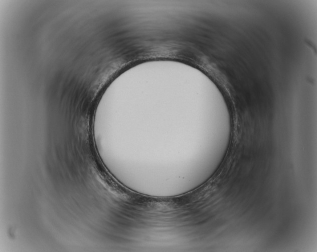 X0000102350107200808221702