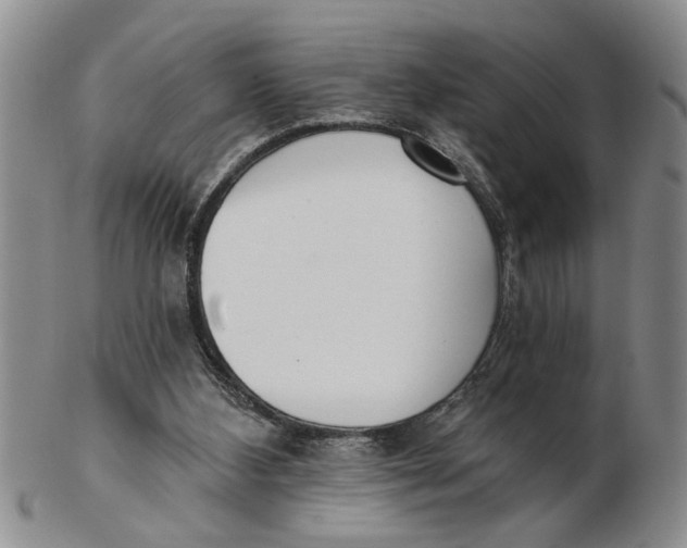 X0000102350108200808221702
