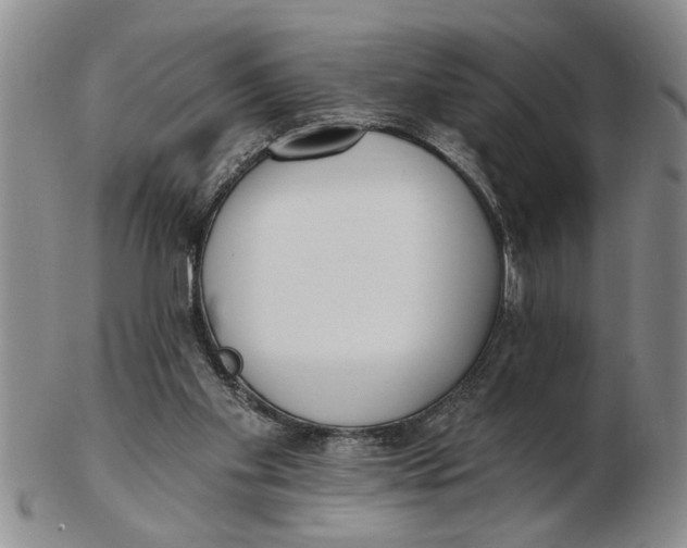 X0000102350109200808221702