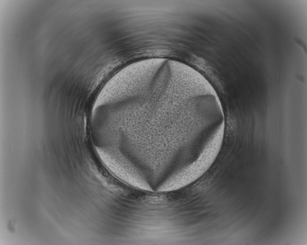 X0000102350110200808221702