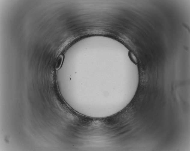 X0000102350111200808221702