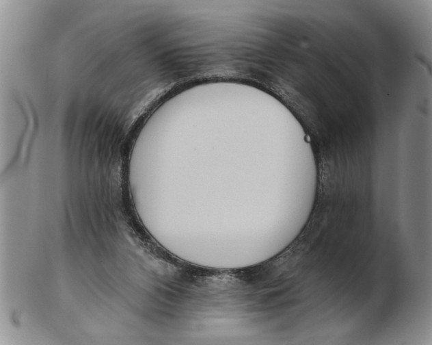 X0000102350112200808221702