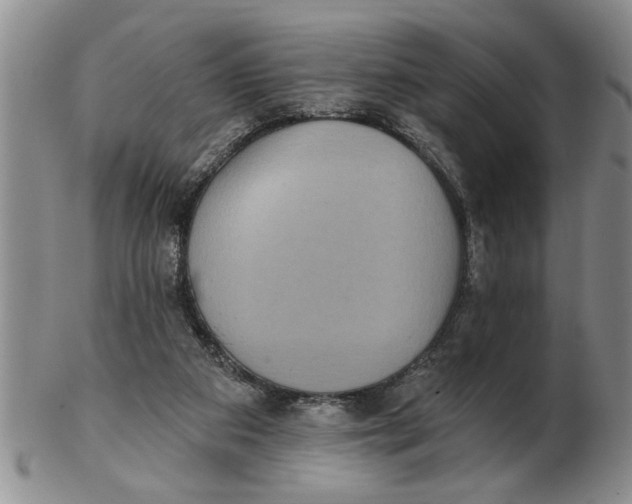 X0000102350113200808221702
