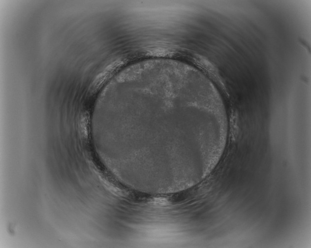 X0000102350114200808221702