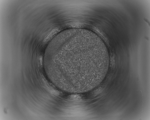 X0000102350117200808221702