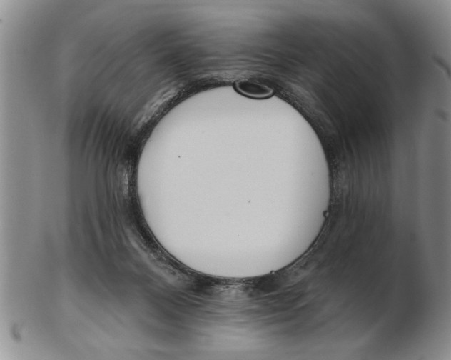 X0000102350120200808221702