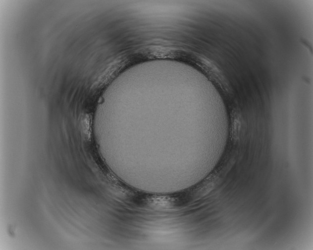 X0000102350121200808221702