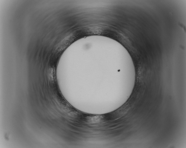 X0000102350122200808221702
