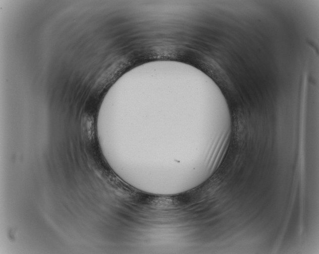 X0000102350123200808221702