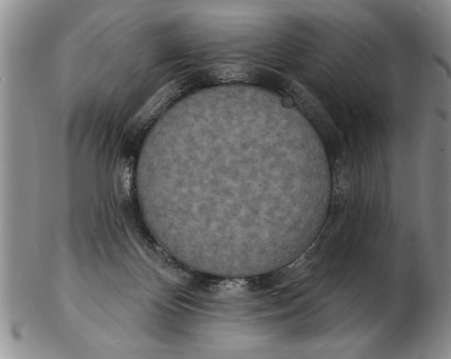 X0000102350124200808221702