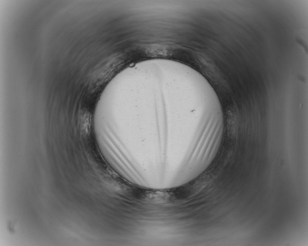 X0000102350125200808221702