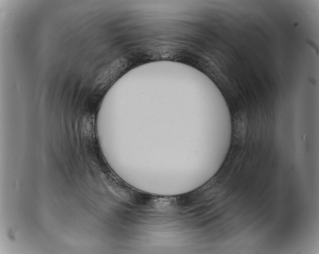 X0000102350126200808221702